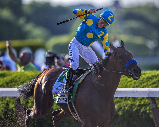 American Pharoah Wins 2015 Triple Crown at Belmont Stakes